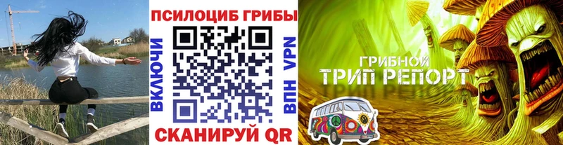 мега ТОР  Джанкой  Галлюциногенные грибы Psilocybe 